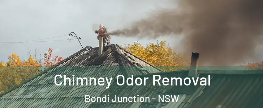 Chimney Odor Removal Bondi Junction - NSW