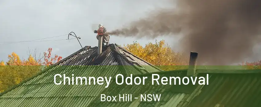 Chimney Odor Removal Box Hill - NSW