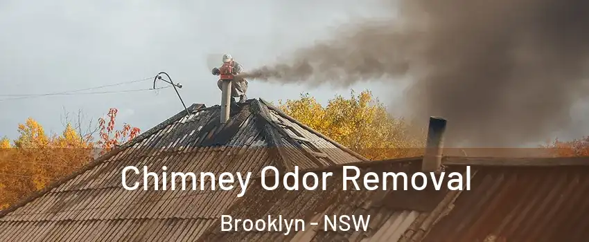 Chimney Odor Removal Brooklyn - NSW