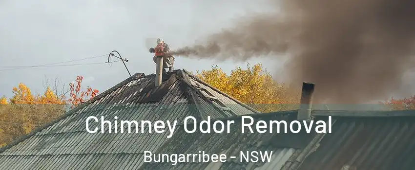 Chimney Odor Removal Bungarribee - NSW