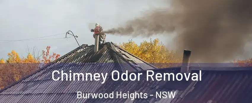 Chimney Odor Removal Burwood Heights - NSW