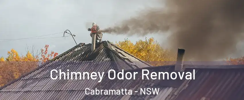 Chimney Odor Removal Cabramatta - NSW