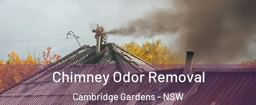 Chimney Odor Removal Cambridge Gardens - NSW