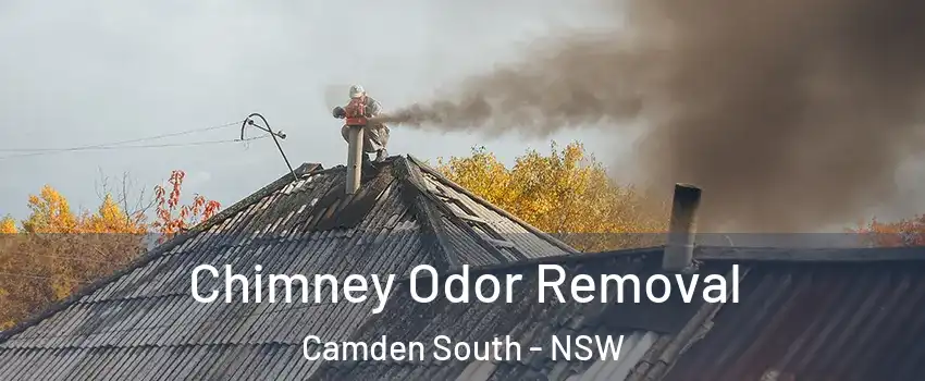 Chimney Odor Removal Camden South - NSW