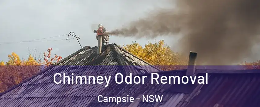 Chimney Odor Removal Campsie - NSW