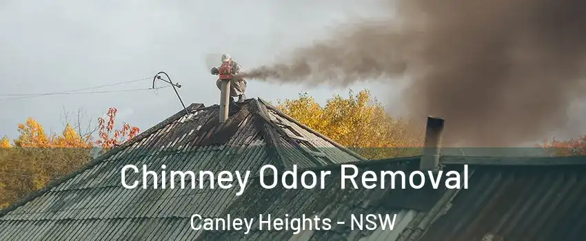 Chimney Odor Removal Canley Heights - NSW