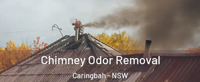 Chimney Odor Removal Caringbah - NSW