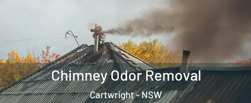 Chimney Odor Removal Cartwright - NSW