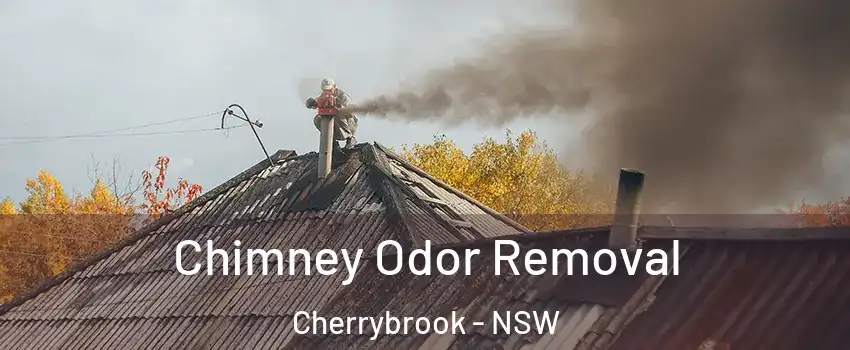 Chimney Odor Removal Cherrybrook - NSW