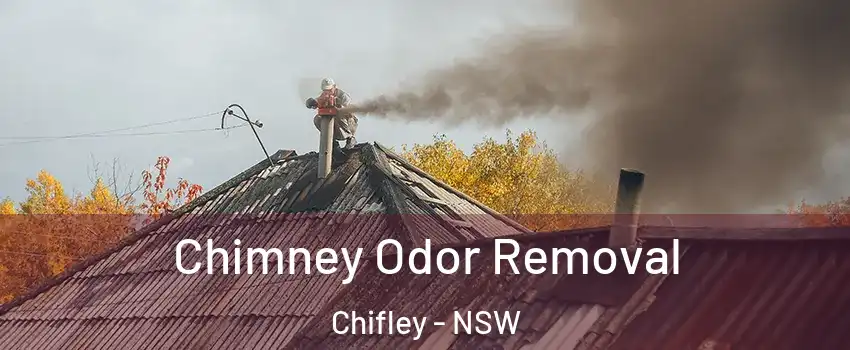 Chimney Odor Removal Chifley - NSW