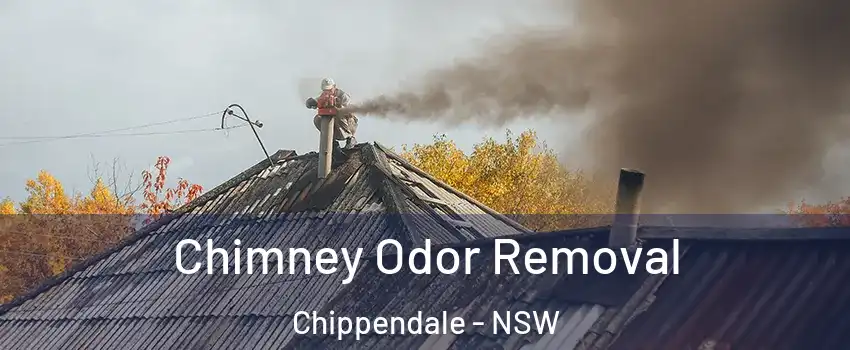  Chimney Odor Removal Chippendale - NSW