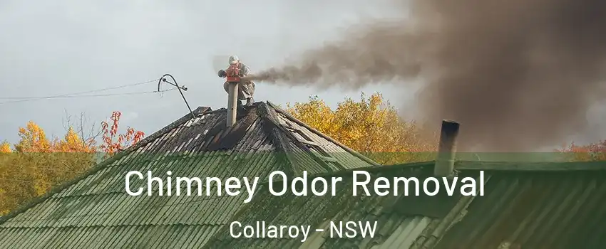 Chimney Odor Removal Collaroy - NSW