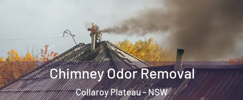 Chimney Odor Removal Collaroy Plateau - NSW