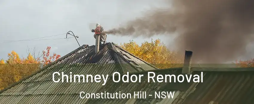 Chimney Odor Removal Constitution Hill - NSW