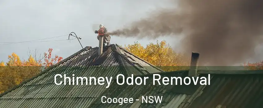 Chimney Odor Removal Coogee - NSW
