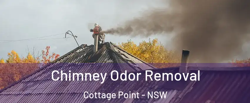Chimney Odor Removal Cottage Point - NSW