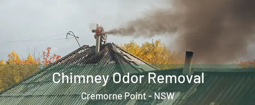 Chimney Odor Removal Cremorne Point - NSW