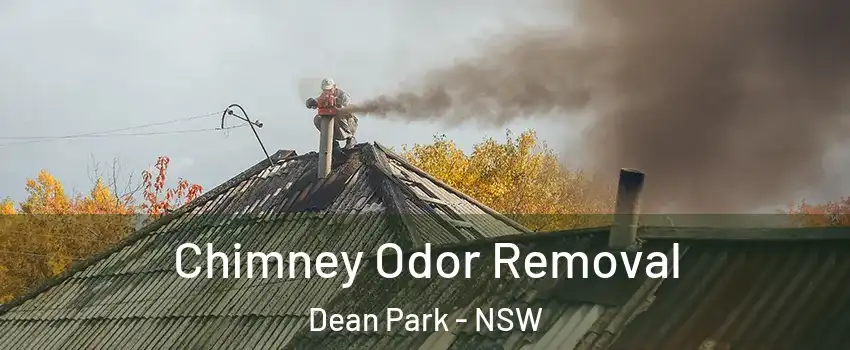 Chimney Odor Removal Dean Park - NSW