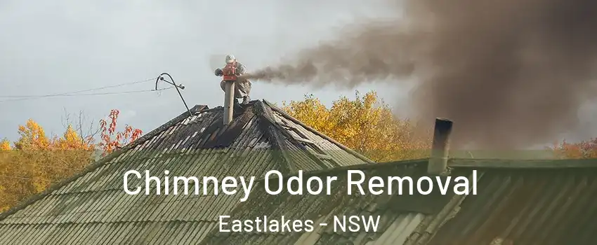 Chimney Odor Removal Eastlakes - NSW