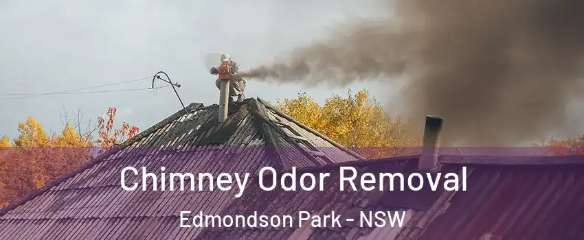 Chimney Odor Removal Edmondson Park - NSW
