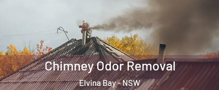 Chimney Odor Removal Elvina Bay - NSW