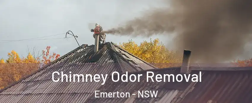 Chimney Odor Removal Emerton - NSW