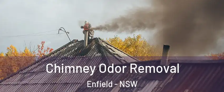 Chimney Odor Removal Enfield - NSW