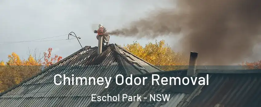 Chimney Odor Removal Eschol Park - NSW