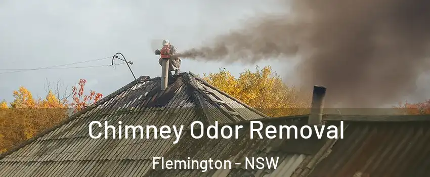Chimney Odor Removal Flemington - NSW