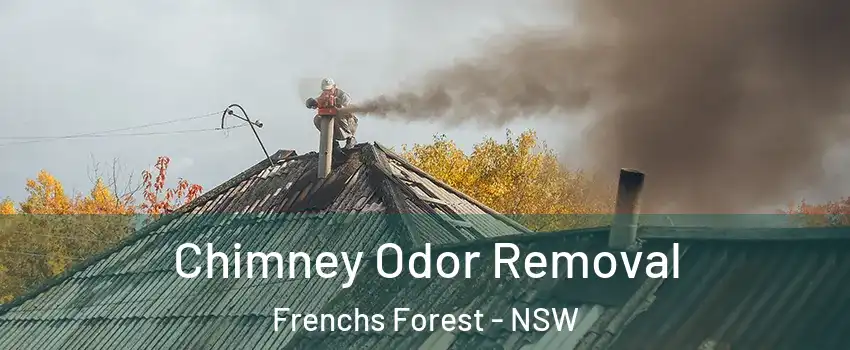Chimney Odor Removal Frenchs Forest - NSW