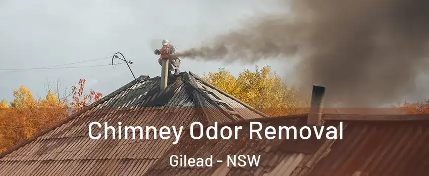 Chimney Odor Removal Gilead - NSW