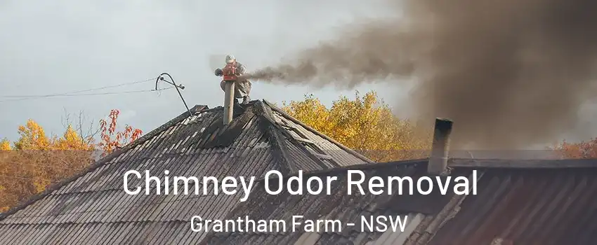 Chimney Odor Removal Grantham Farm - NSW