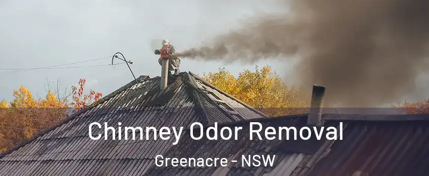 Chimney Odor Removal Greenacre - NSW