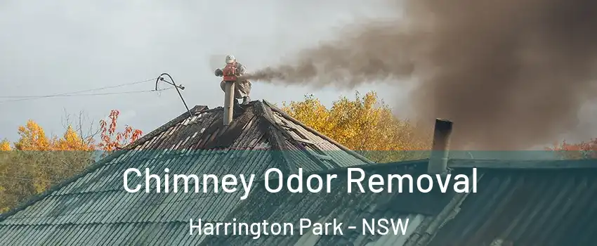 Chimney Odor Removal Harrington Park - NSW