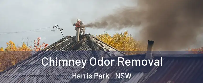 Chimney Odor Removal Harris Park - NSW
