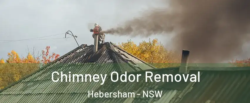 Chimney Odor Removal Hebersham - NSW