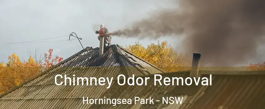 Chimney Odor Removal Horningsea Park - NSW