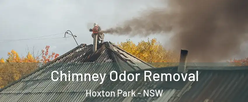 Chimney Odor Removal Hoxton Park - NSW