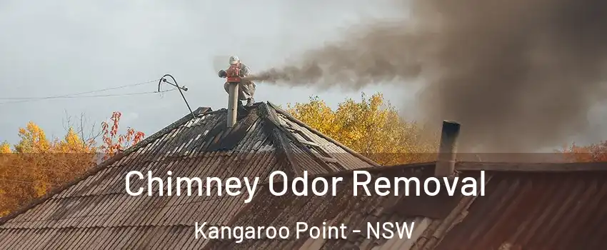 Chimney Odor Removal Kangaroo Point - NSW