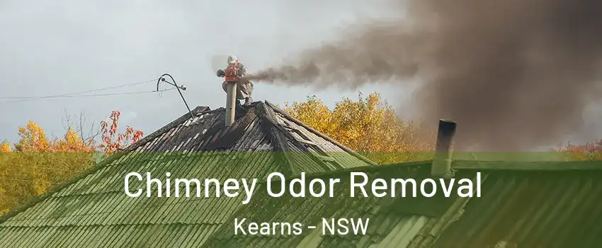 Chimney Odor Removal Kearns - NSW