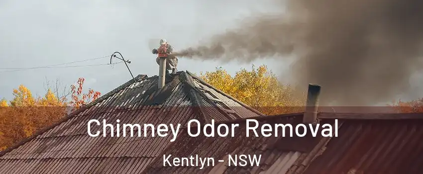 Chimney Odor Removal Kentlyn - NSW