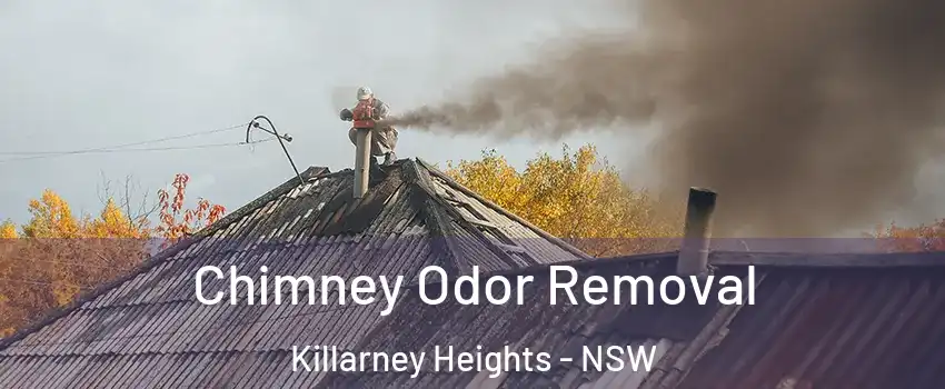  Chimney Odor Removal Killarney Heights - NSW