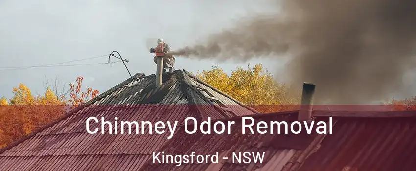 Chimney Odor Removal Kingsford - NSW