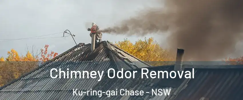 Chimney Odor Removal Ku-ring-gai Chase - NSW