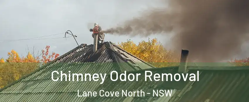 Chimney Odor Removal Lane Cove North - NSW
