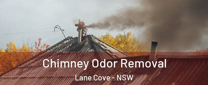Chimney Odor Removal Lane Cove - NSW