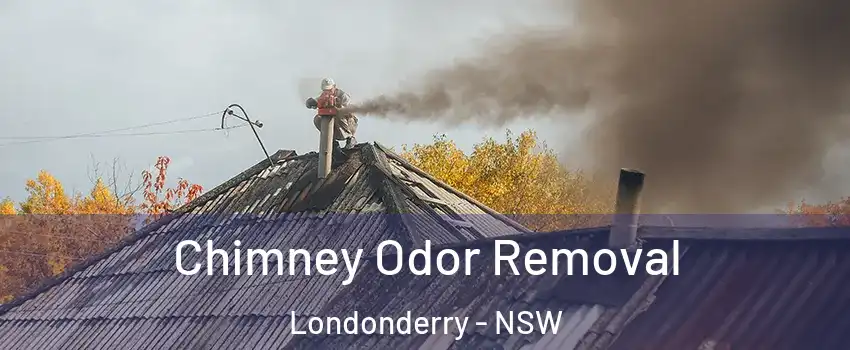 Chimney Odor Removal Londonderry - NSW
