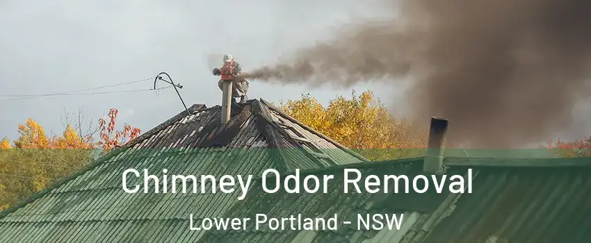 Chimney Odor Removal Lower Portland - NSW