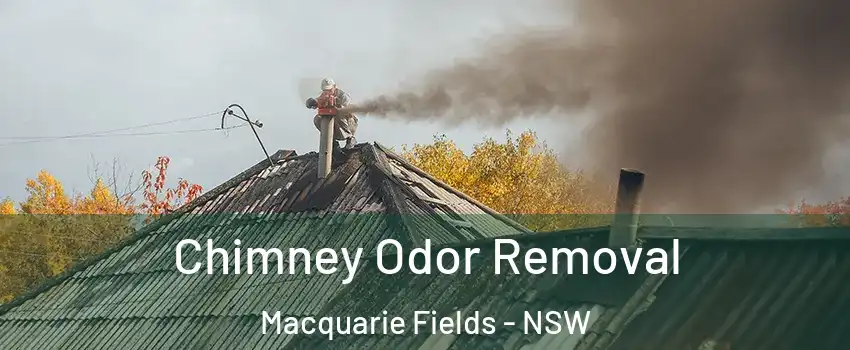 Chimney Odor Removal Macquarie Fields - NSW