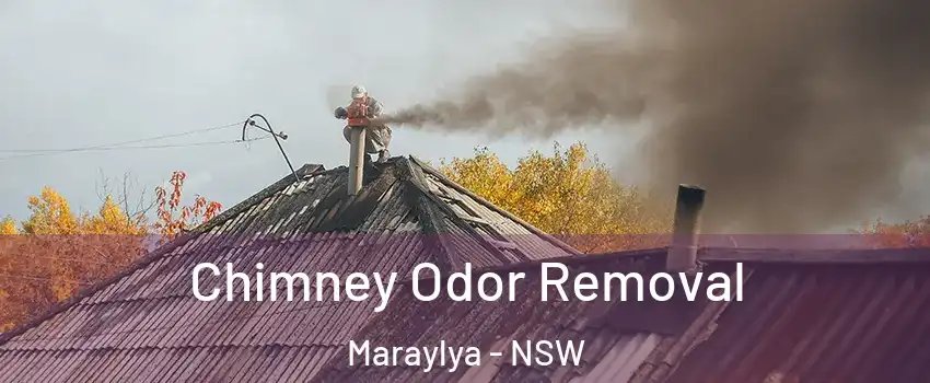 Chimney Odor Removal Maraylya - NSW